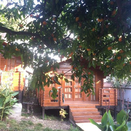 Cottage house New Athos Exterior photo